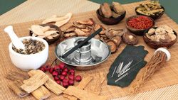 Index Services Chinese Herbal Medicine